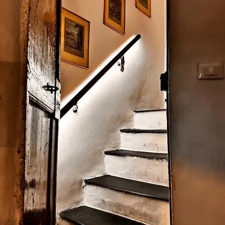 Rolliland By Farris & Cors