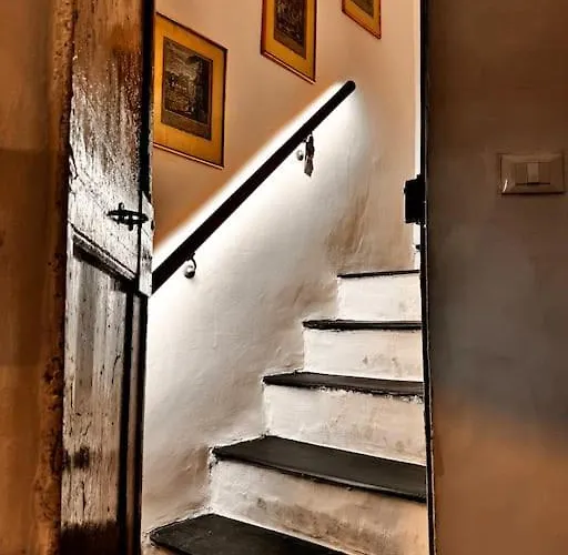 Rolliland By Farris & Cors